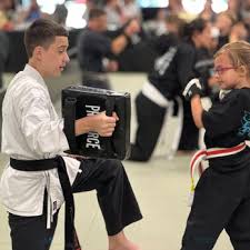 Image result for Action Karate