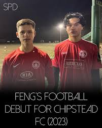 Image result for Chipstead Fc