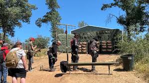 Image result for White Mark Bowmen Field Archery Club