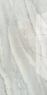 Attēlu rezultāti vaicājumam “Amara sp.”