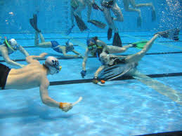 Image result for Orkney Octopush Club