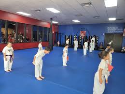 Image result for America's Best Karate Chandler