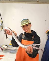 Image result for Coregonus huntsmani