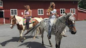 Image result for Winchester Riding Club