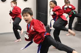 Image result for Action Karate