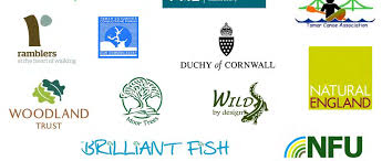 Image result for Tamar Canoe Association