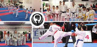 Image result for Loughton Wado-Kai Karate Club