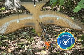 Image result for Acorn Archers