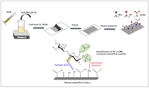 Attēlu rezultāti vaicājumam “Furcellaria lumbricalis”