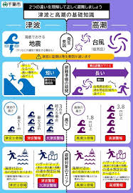 Image result for 高潮 津波 別物