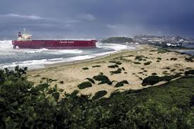 Image result for Pasha bulker