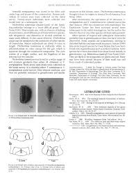 Attēlu rezultāti vaicājumam “Oniscoidea”