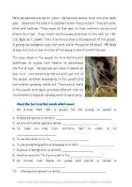 Image result for Reading Kangaroos