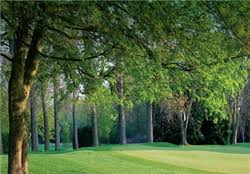 Image result for Datchet Golf Club Ltd