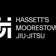 Image result for Ju Jitsu Tavistock
