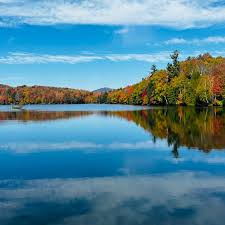 Image result for Green Lane Mountaineering Club, Surrey