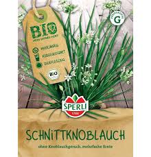 Image result for Schnittknoblauch
