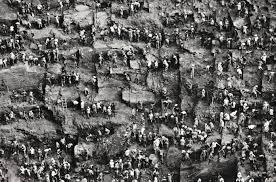 Image result for sebastiao salgado