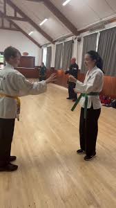 Image result for Logie Durno Choi Kwang Do