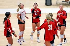 Image result for University Of Birmingham Volleyball Club