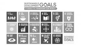 「海老沢和生 妄想代理人」の画像検索結果