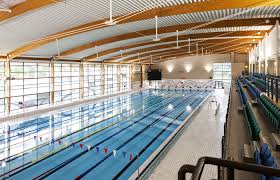 Image result for BRIGHOUSE SWIMMING CLUB