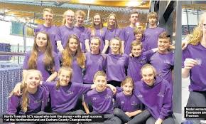 Image result for Derwentside Asc