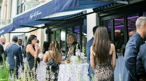 Image result for foto de fraco