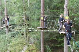 Image result for Go Ape! Dalby