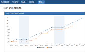 Image result for burnup chart