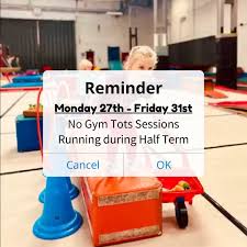 Image result for Gym Tots Gym Club