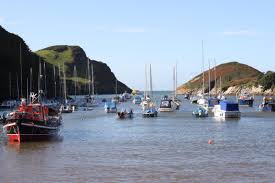Image result for Watermouth Yacht Club