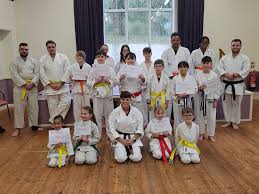Image result for Twyford Higashi Karate Club