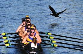 Image result for Globe Rowing Club