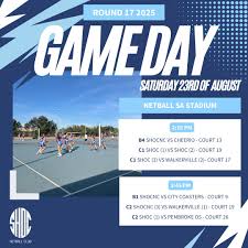 Image result for Alderman Smith School & Sports College Netball Club