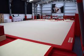 Image result for Colchester School Of Gymnastics