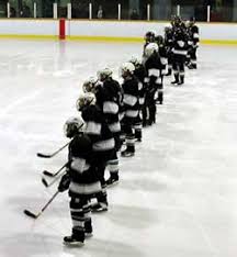 Image result for Cambridge City Junior Hockey Club