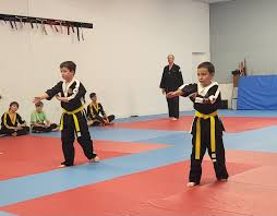 Image result for Ndm Martial Arts