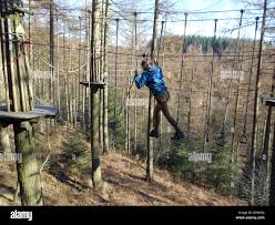 Image result for Go Ape! Dalby
