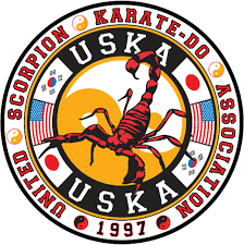 Image result for Scorpion Martial Arts Academy