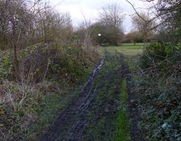 Image result for Scraptoft Golf Club