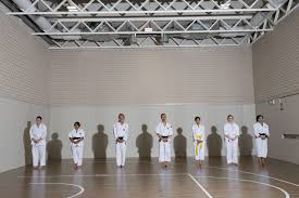 Image result for Durham University Shorinji Kempo Society Club