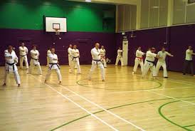 Image result for Windsor Higashi Karate Club