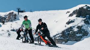 Image result for Go Mammoth