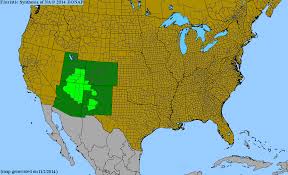 Attēlu rezultāti vaicājumam “Stemonitopsis hyperopta var. landewaldii macro”