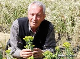 Rubén Oliva: el sector de la floricultura y el viverismo - ruben-oliva
