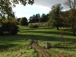 Image result for Selby Londesborough Cc