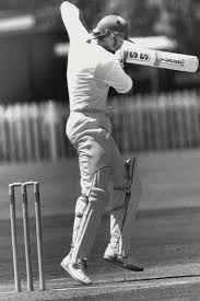 Image result for Capel Cricket Club