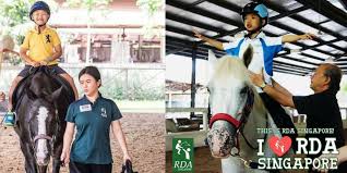 Image result for Riding For The Disabled Association