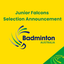 Image result for Falcons Badminton Club